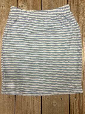 Striped Knit Pencil Skirt - Light Blue & White